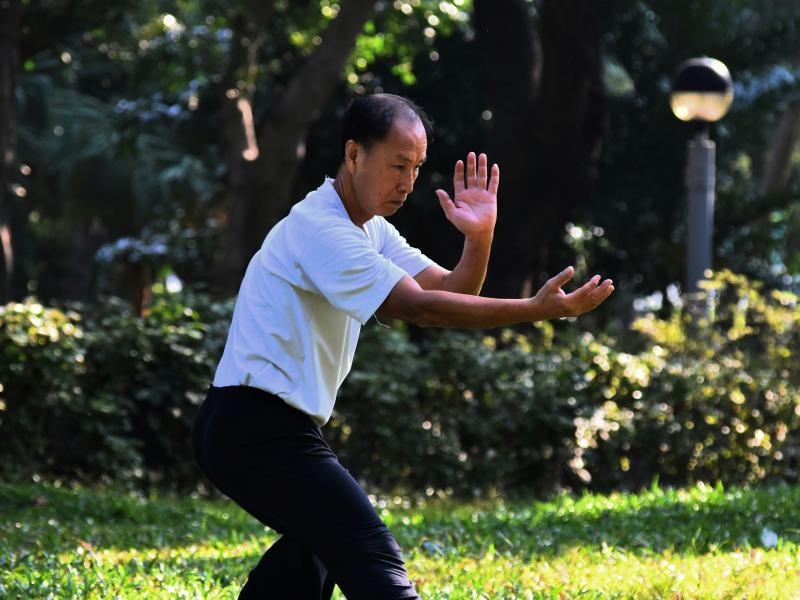 Tai Chi course   with Stephen Pentony