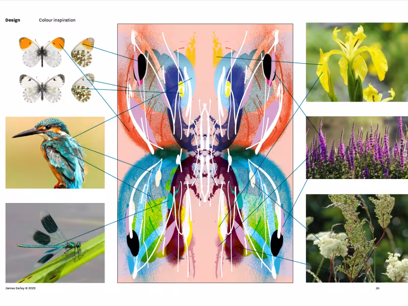 James Earley – The Butterfly Effect 