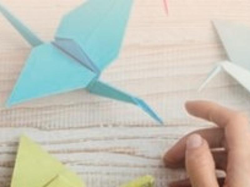 Make Origami Animals