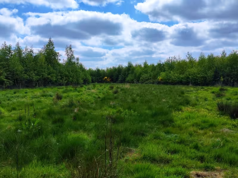 A ground shot of the Ecological Habitat