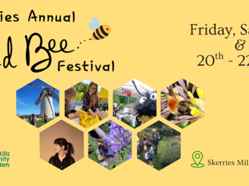 Wild Bee Festival 2025