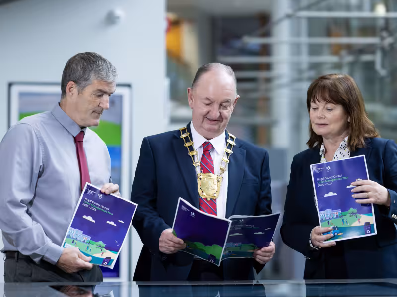 Fingal Litter Management Plan 2025-2028