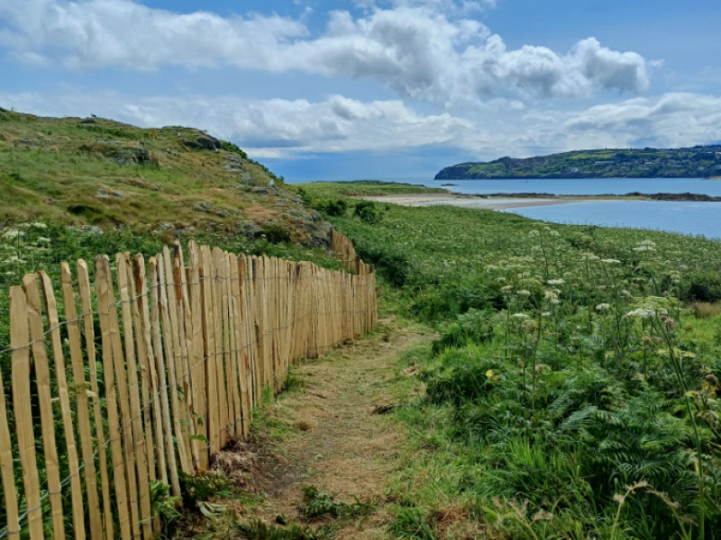 View of Ireland's Eye fencing