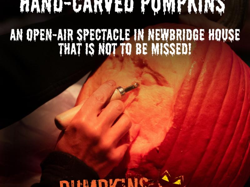 Pumpkins after dark