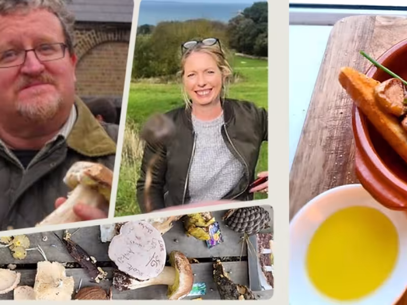 Samhain Mushroom Foraging 