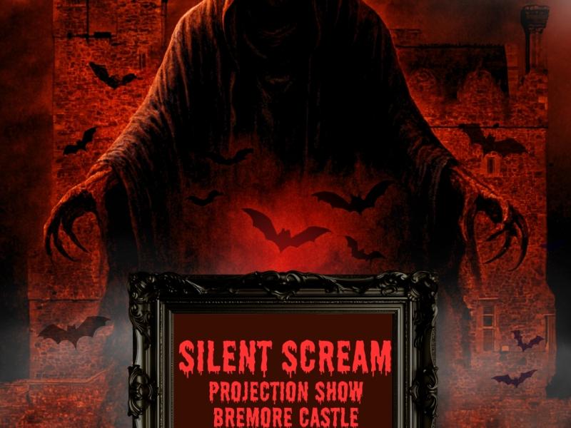Silent Screams