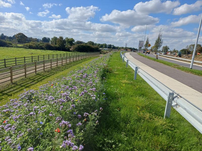 North-South Main Line (looking South)