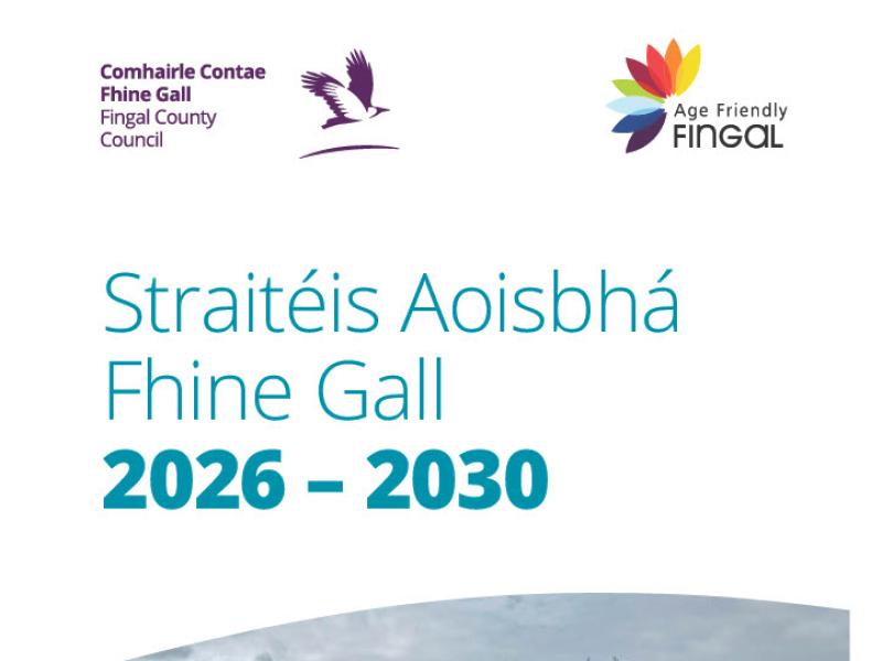 Straitéis Aoisbhá Fhine Gall 2026-2030