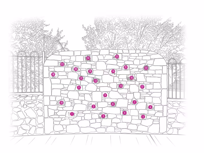 Harry's Wall