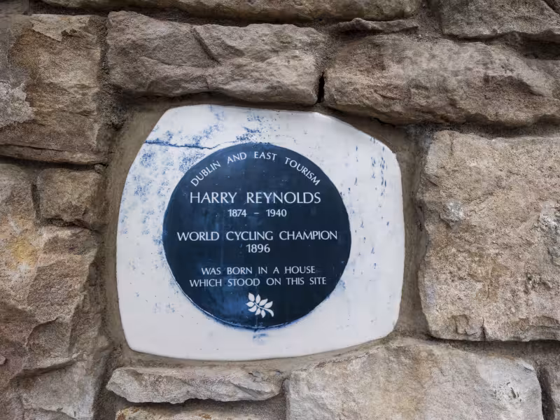 Harry's Wall