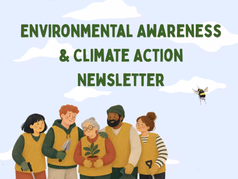 Environmental Awareness Newsletter