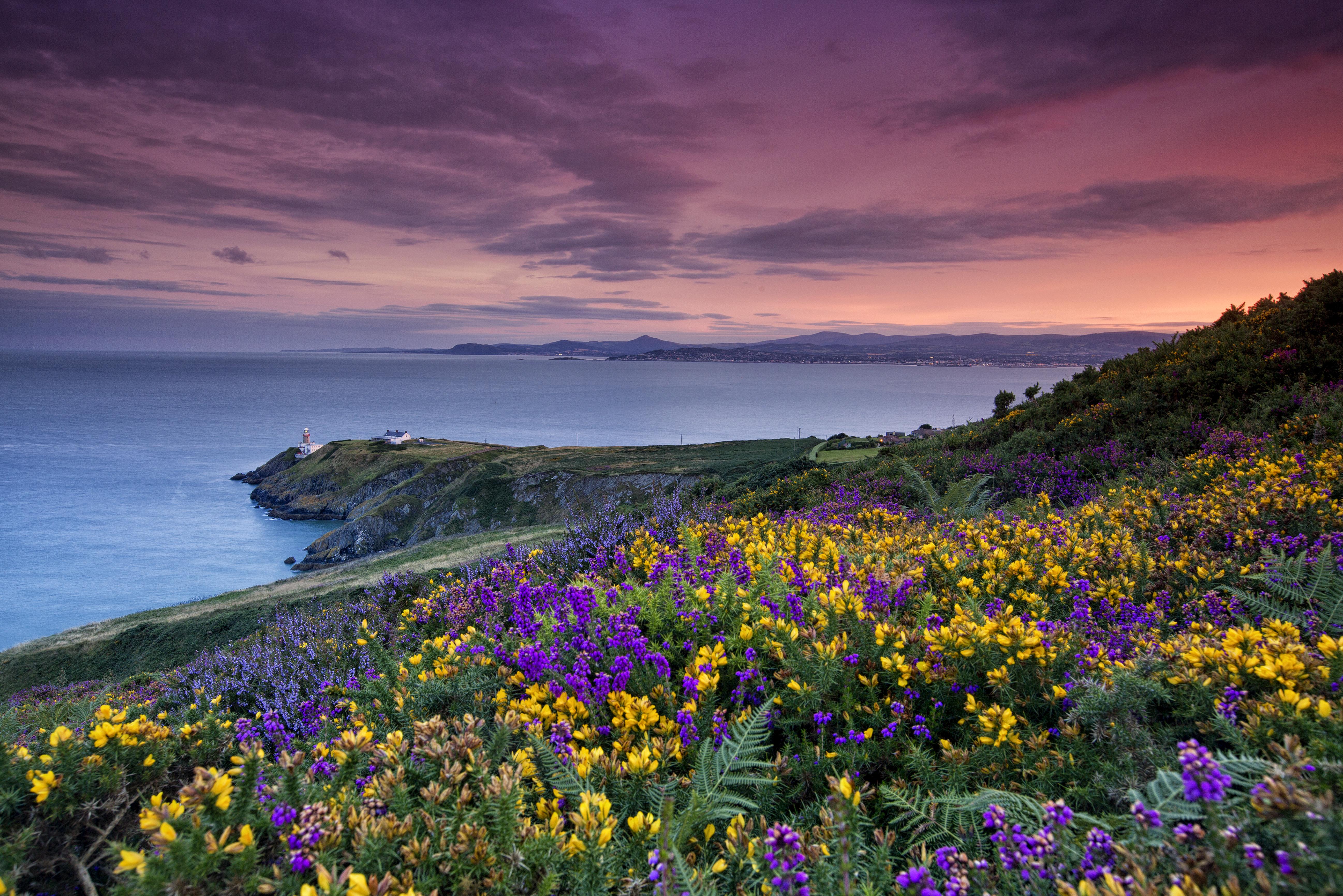 Howth Cliff Walk v