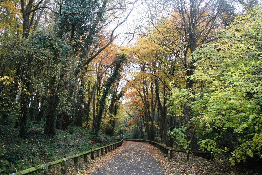 St Catherine's Park