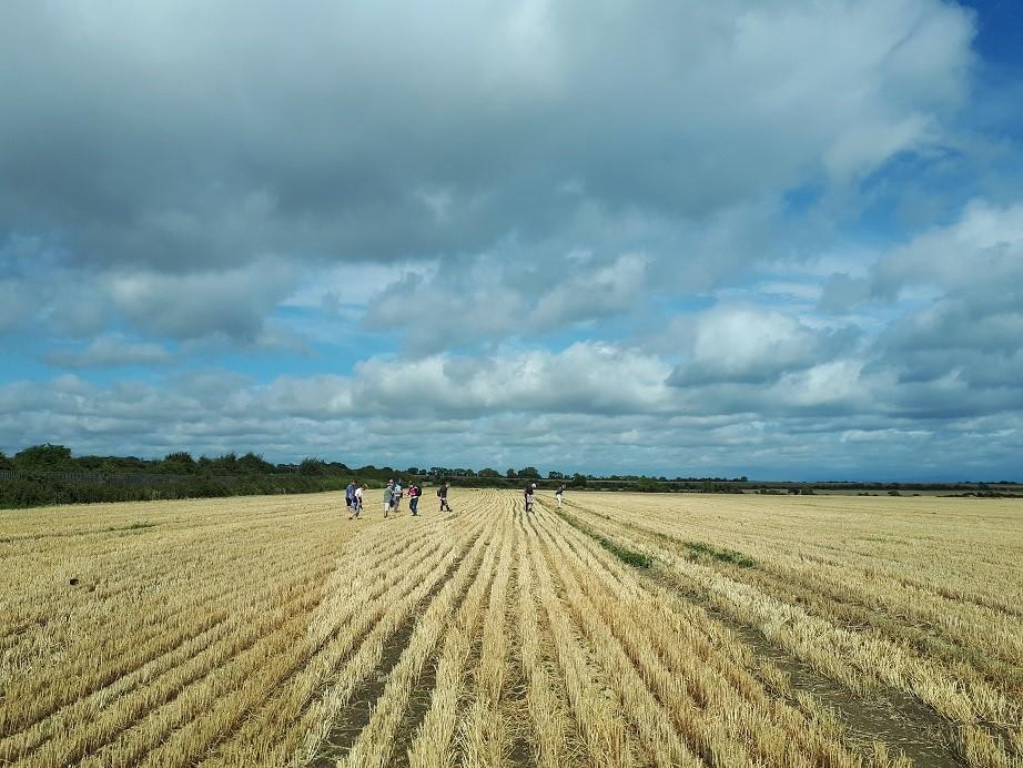 Fingal Fieldnames