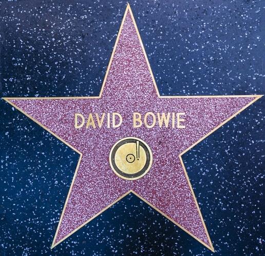David Bowie Star (002)