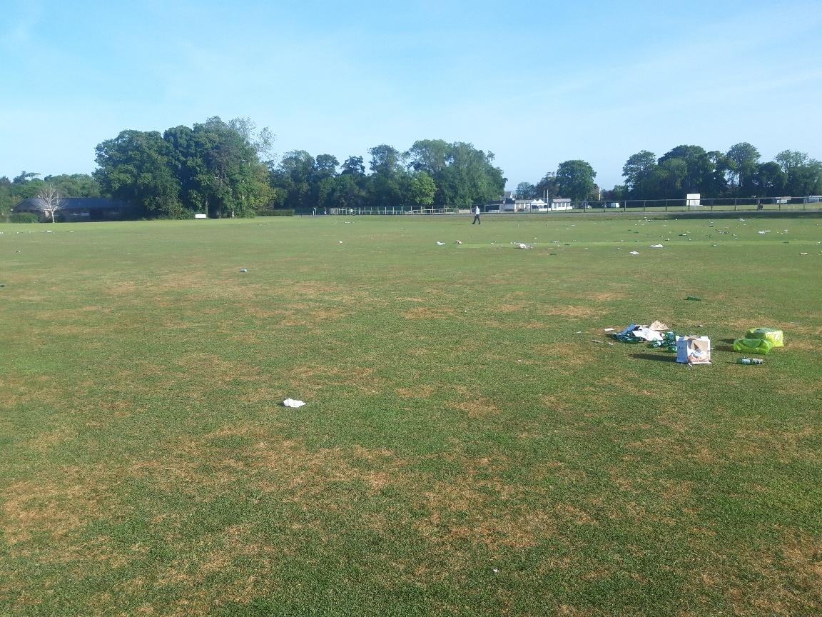 The scene that greeted Fingal County Council staff on Thursday morning at Malahide Demesne