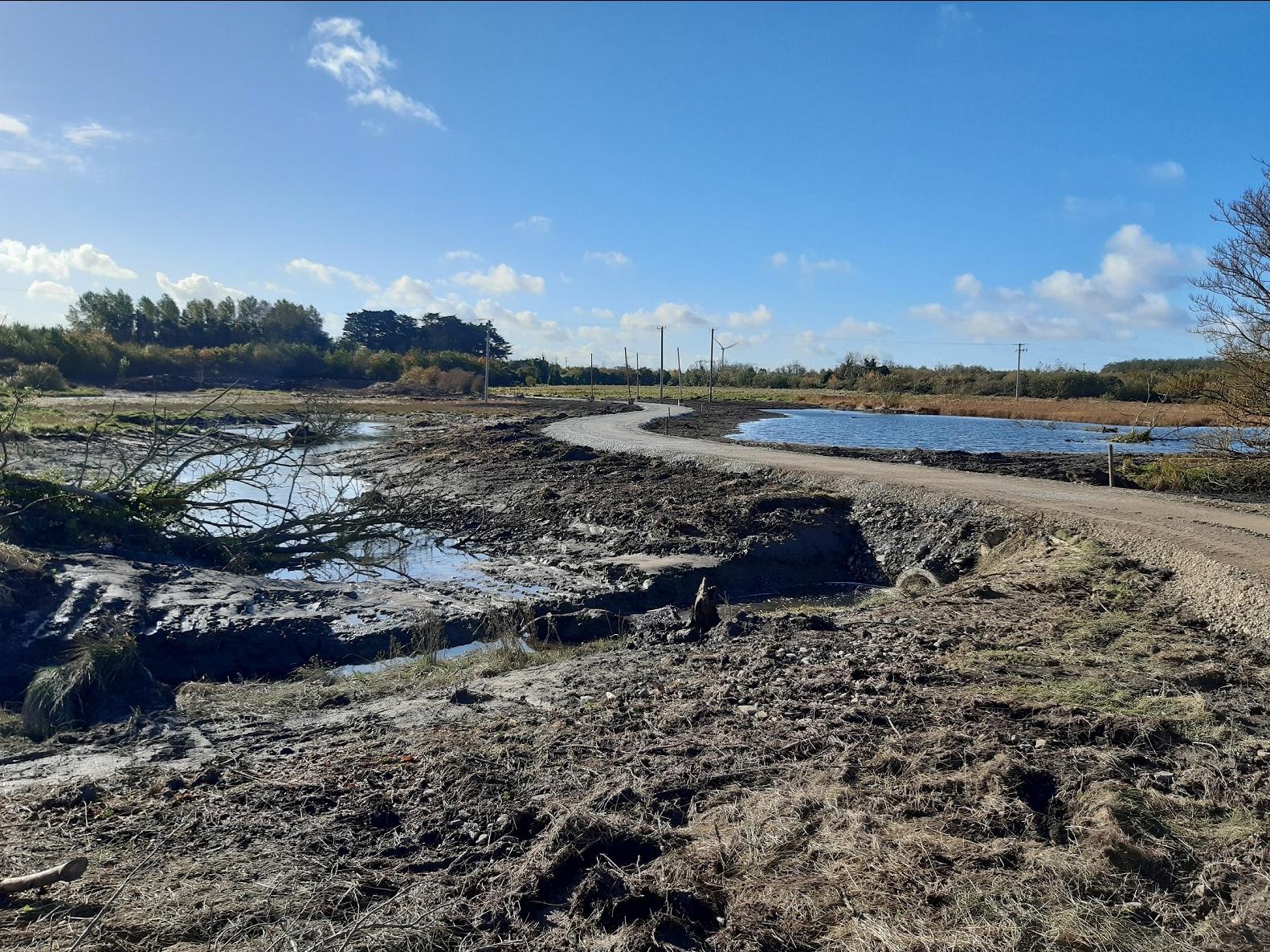 Turvey Wetland 2