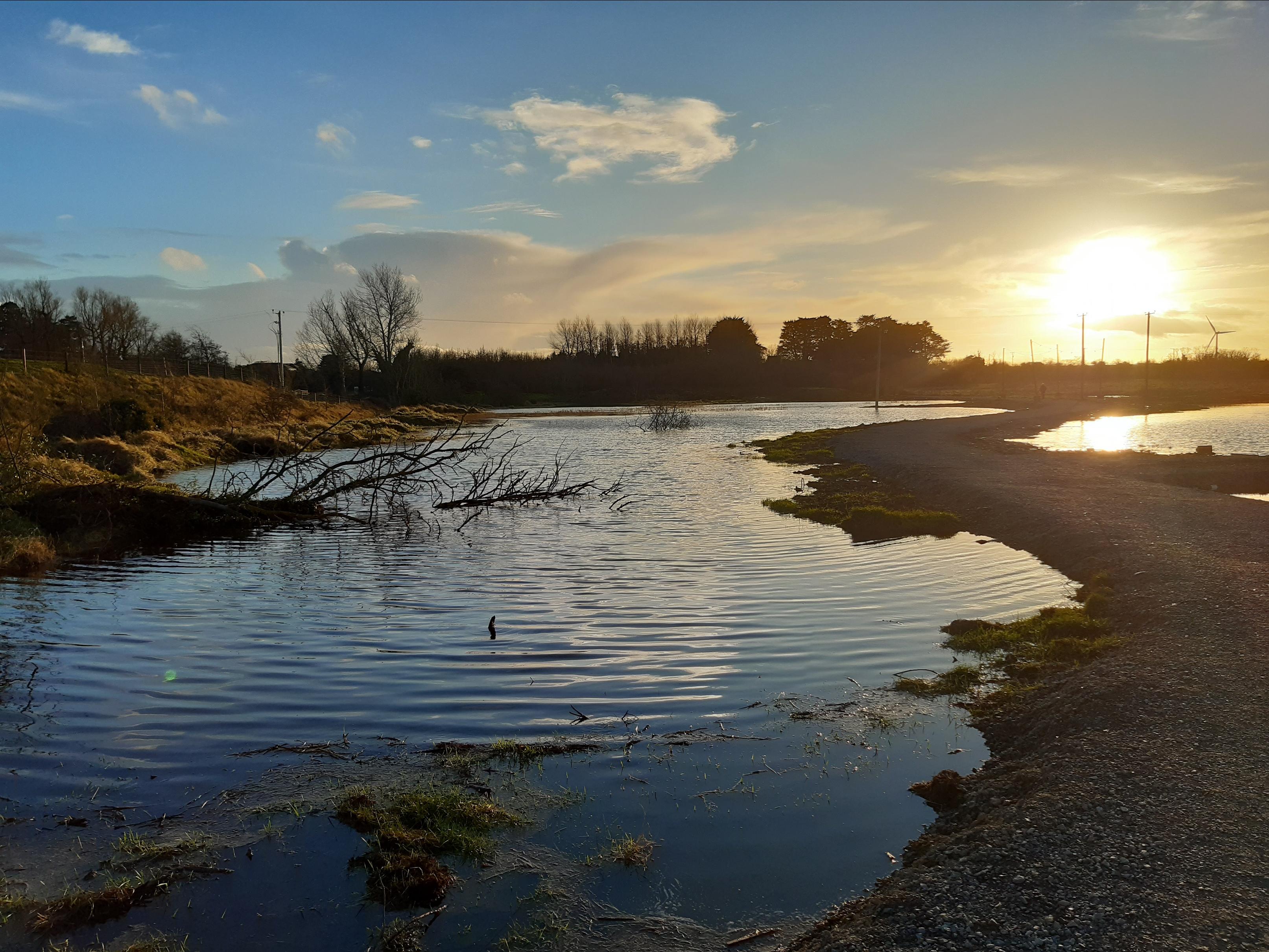 Turvey Wetland