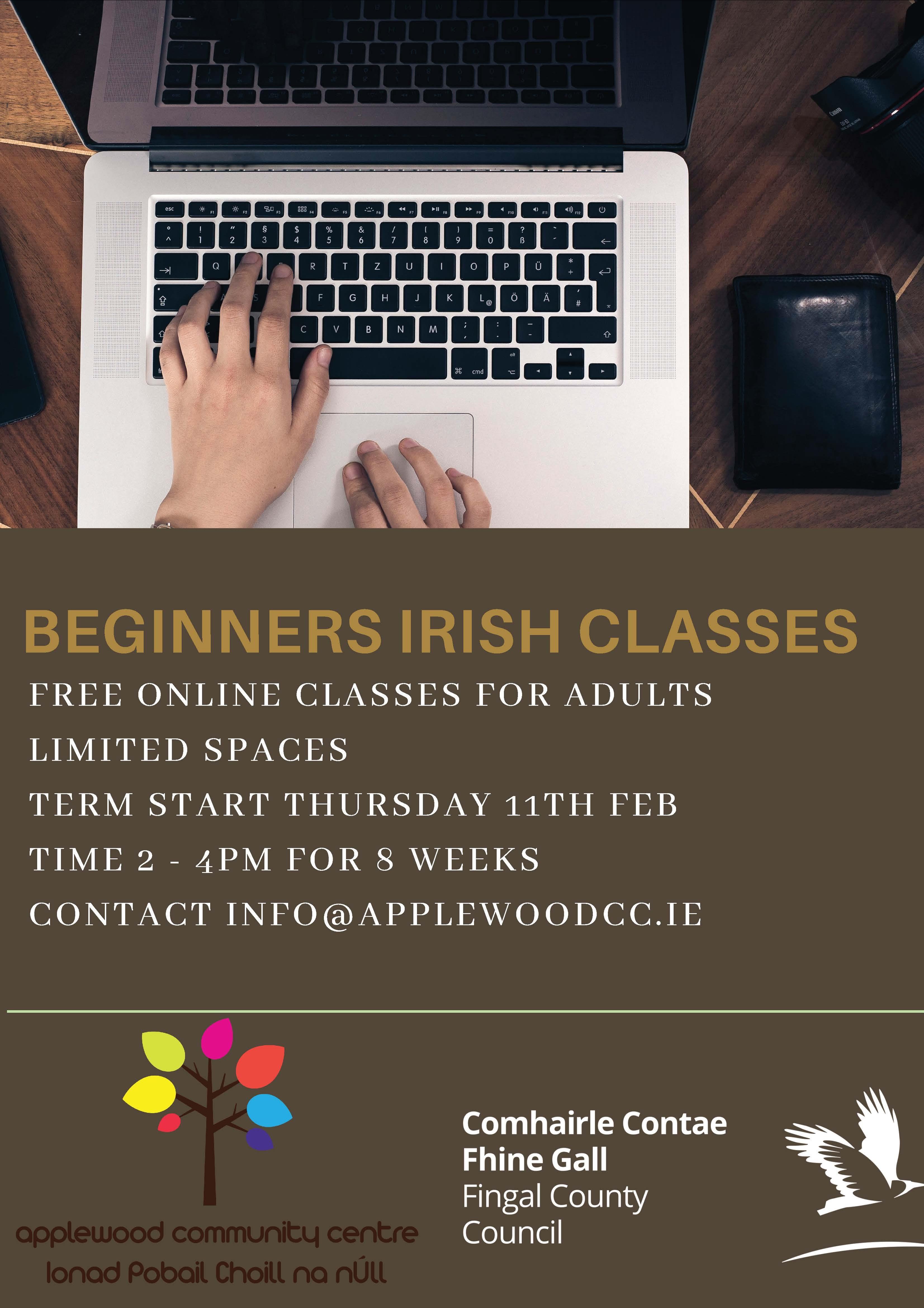 Beginner irish classes