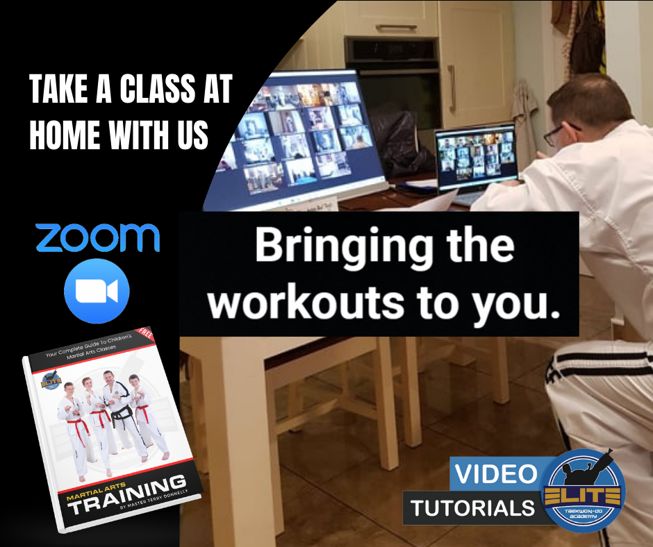 Online Taekwon-Do Classes