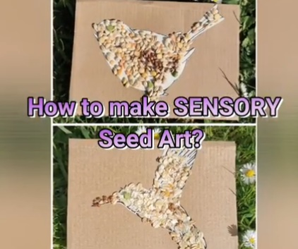 Sensory Seeed Art