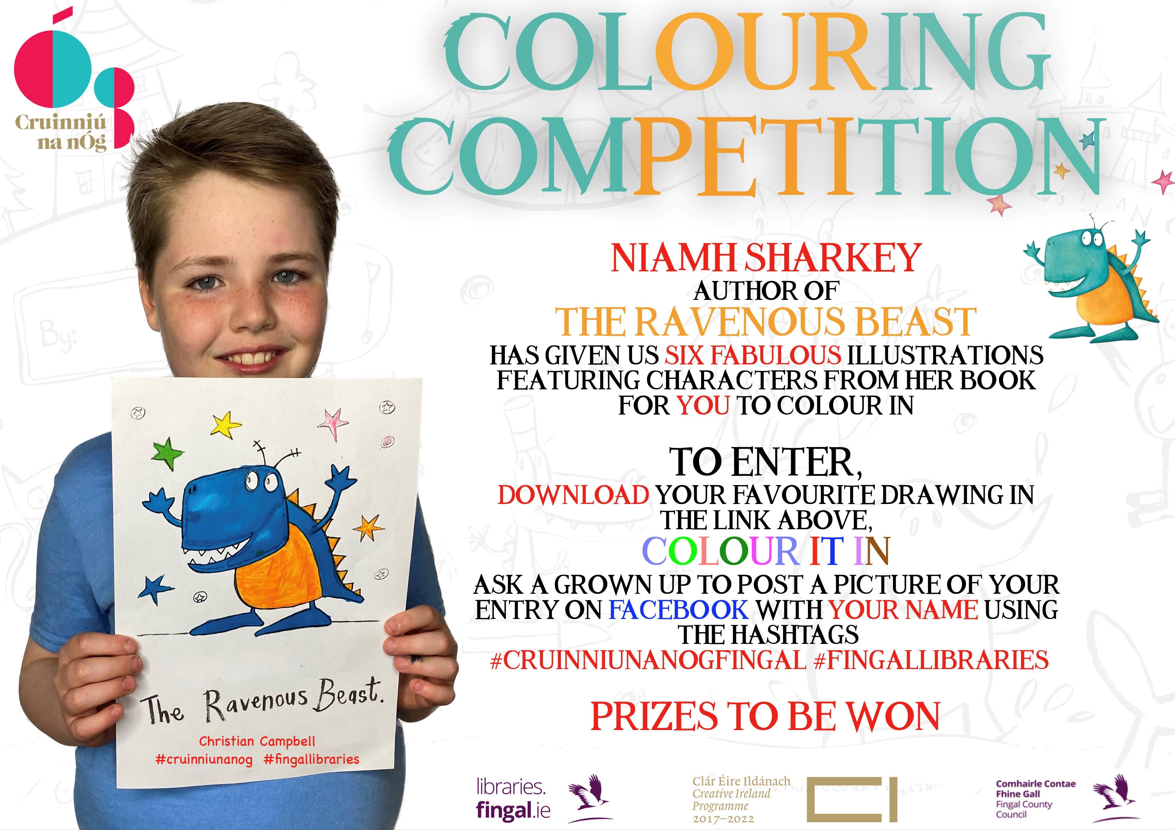 Niamh Sharkey Art Competition