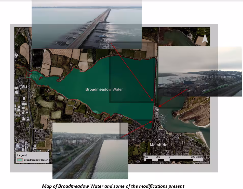 Broadmeadow Water Body 