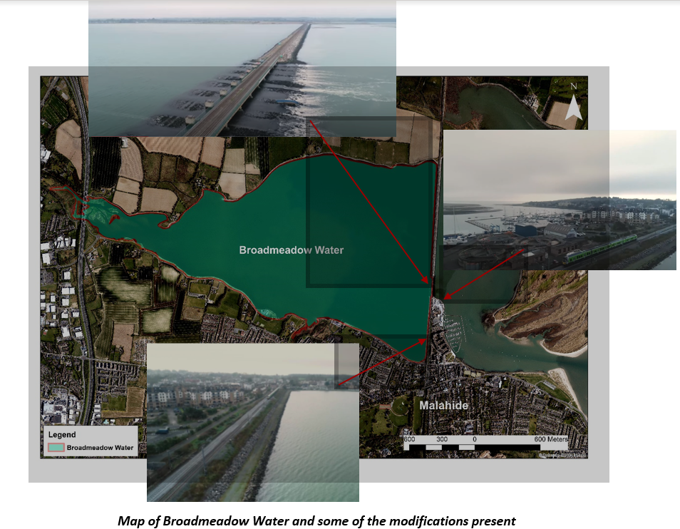 Broadmeadow Water Body