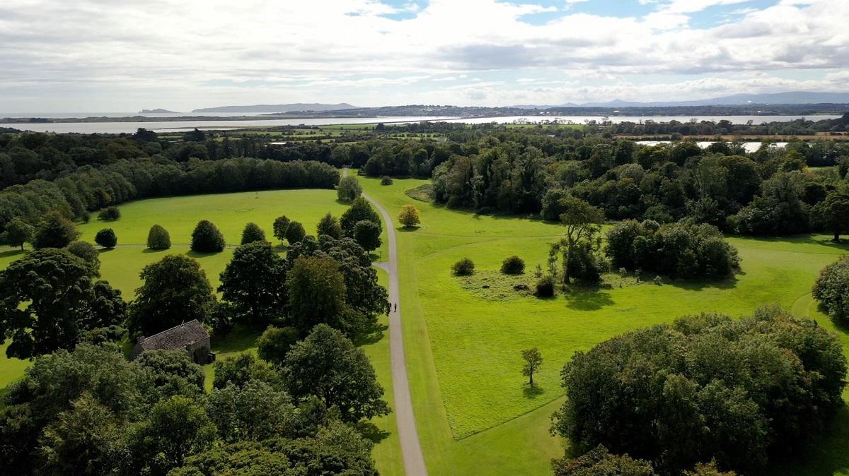 Aerial View of Newbridge House, Demesne