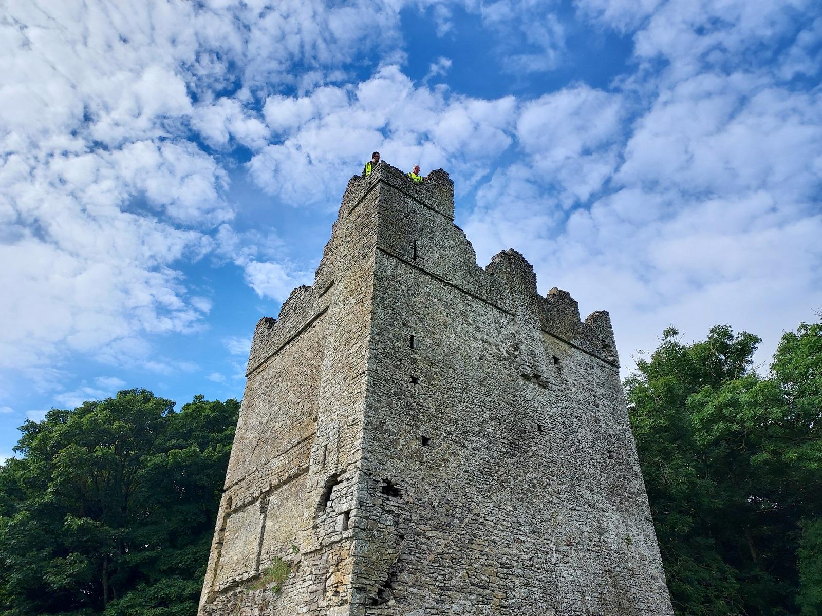 Lanistown Castle, Newbridge Demesne