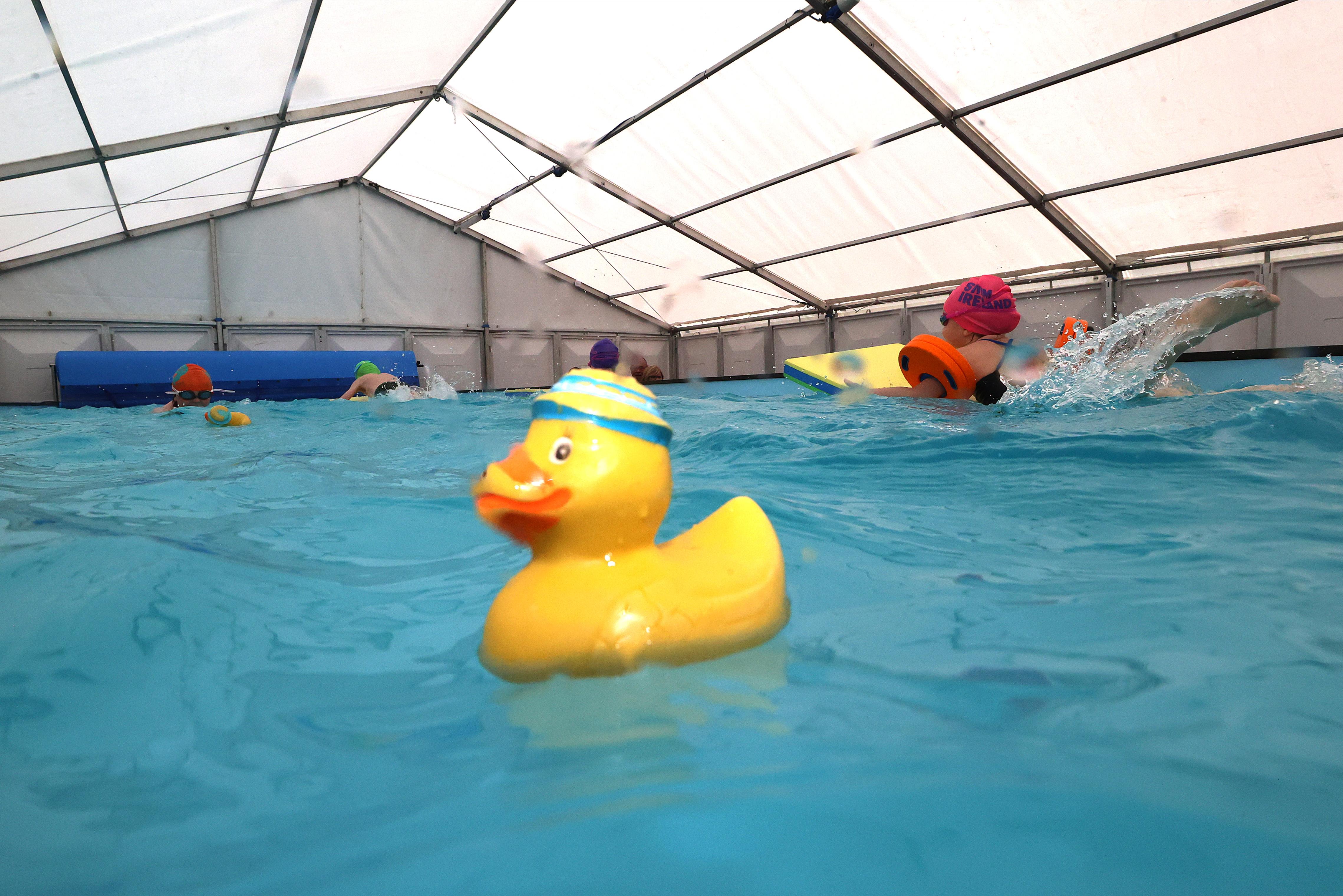 duck in pop-up pool 