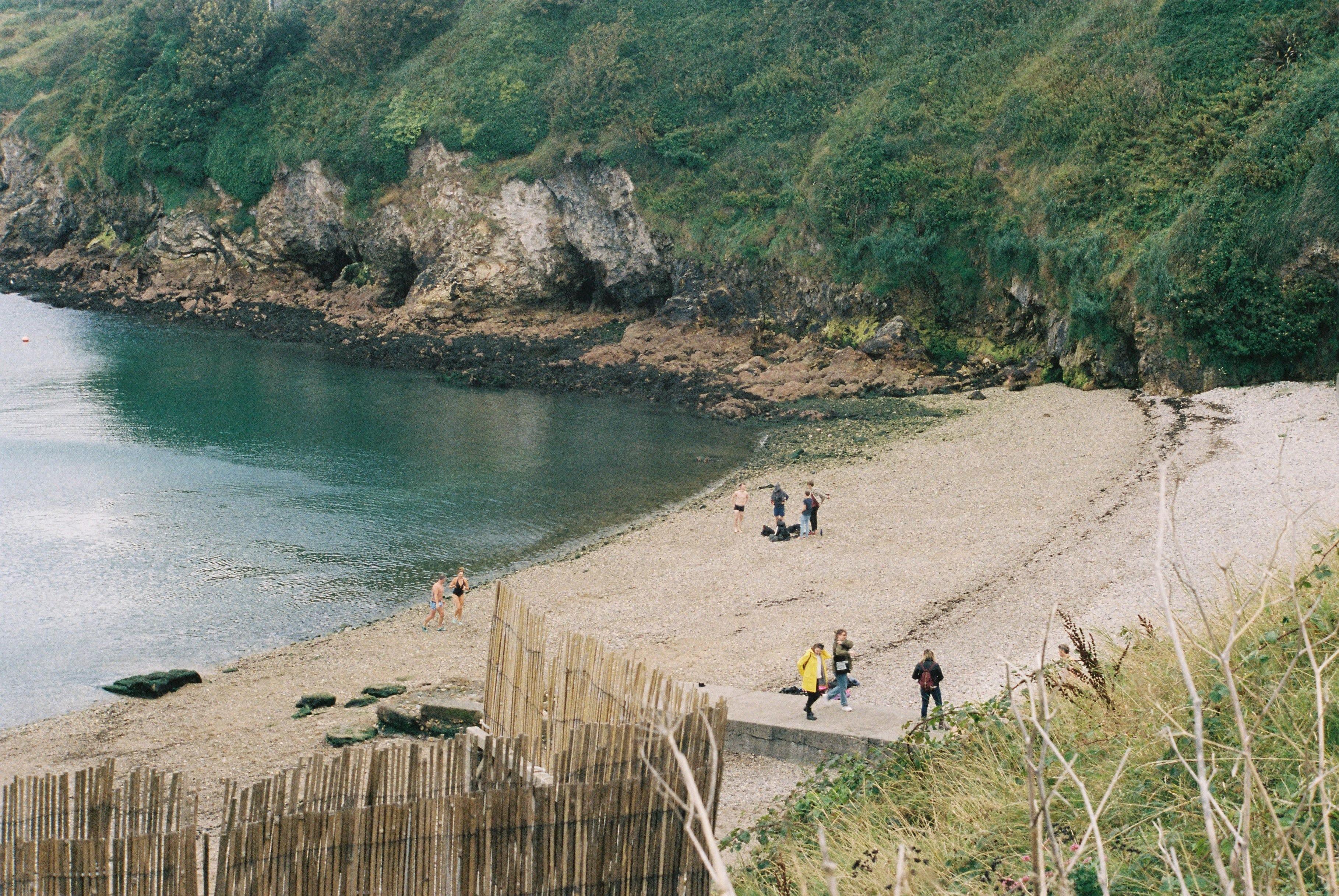 Swimmers in Howth
