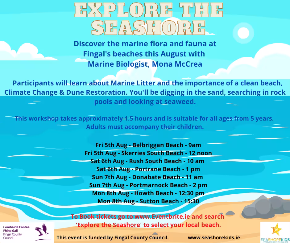 Beach Workshops