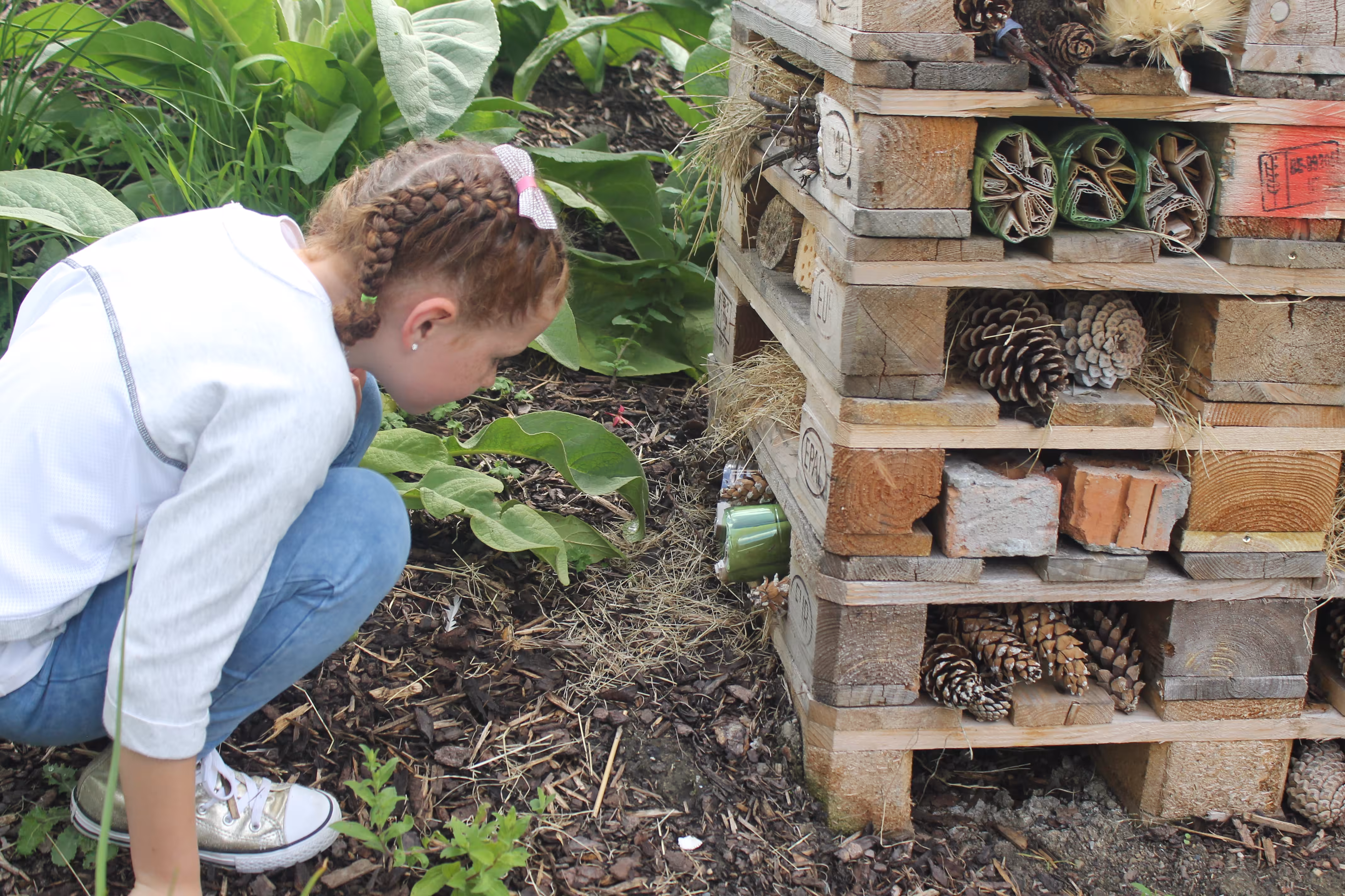 Rediscovery centre Heritage week