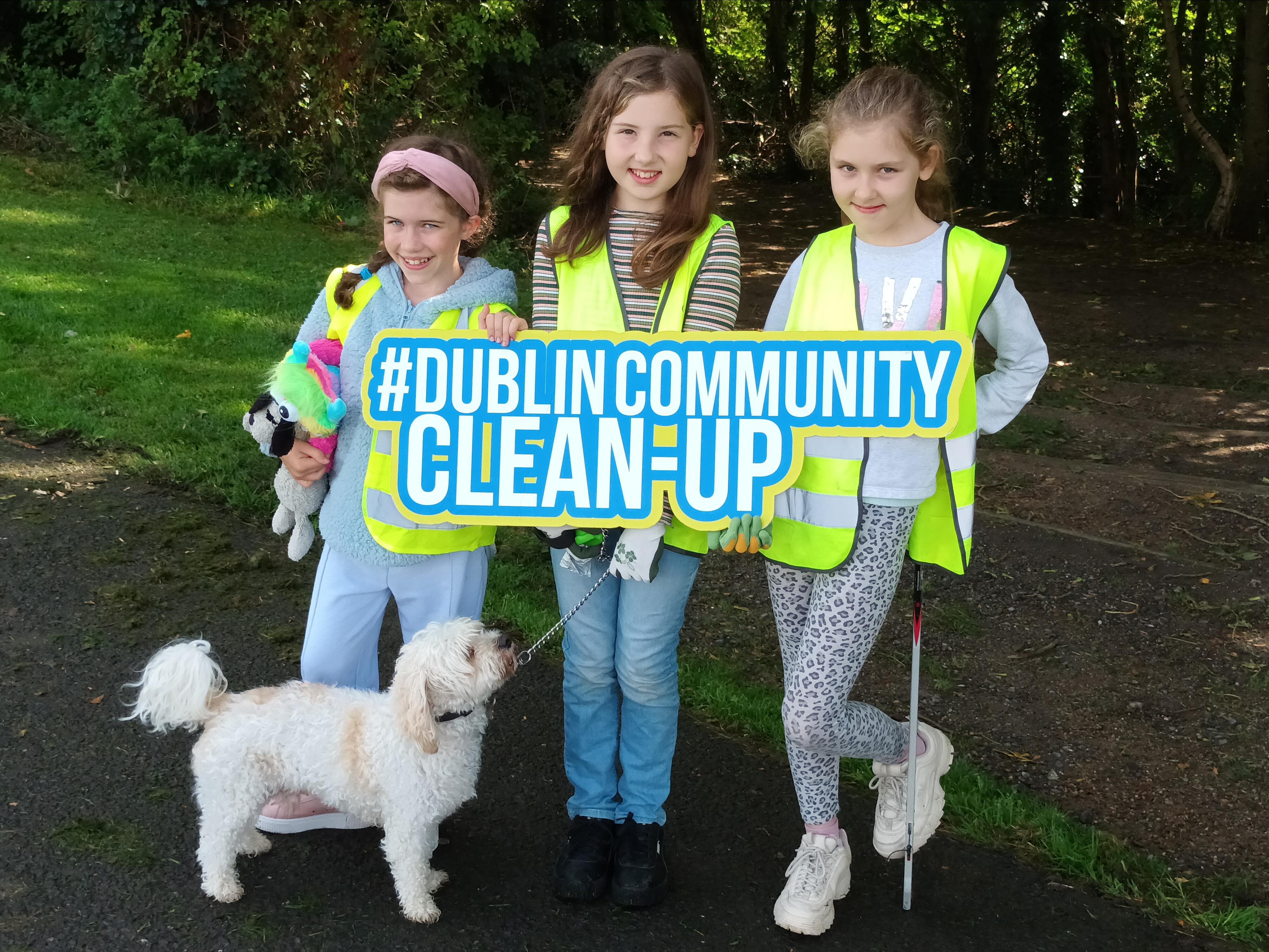 dublin community clean up