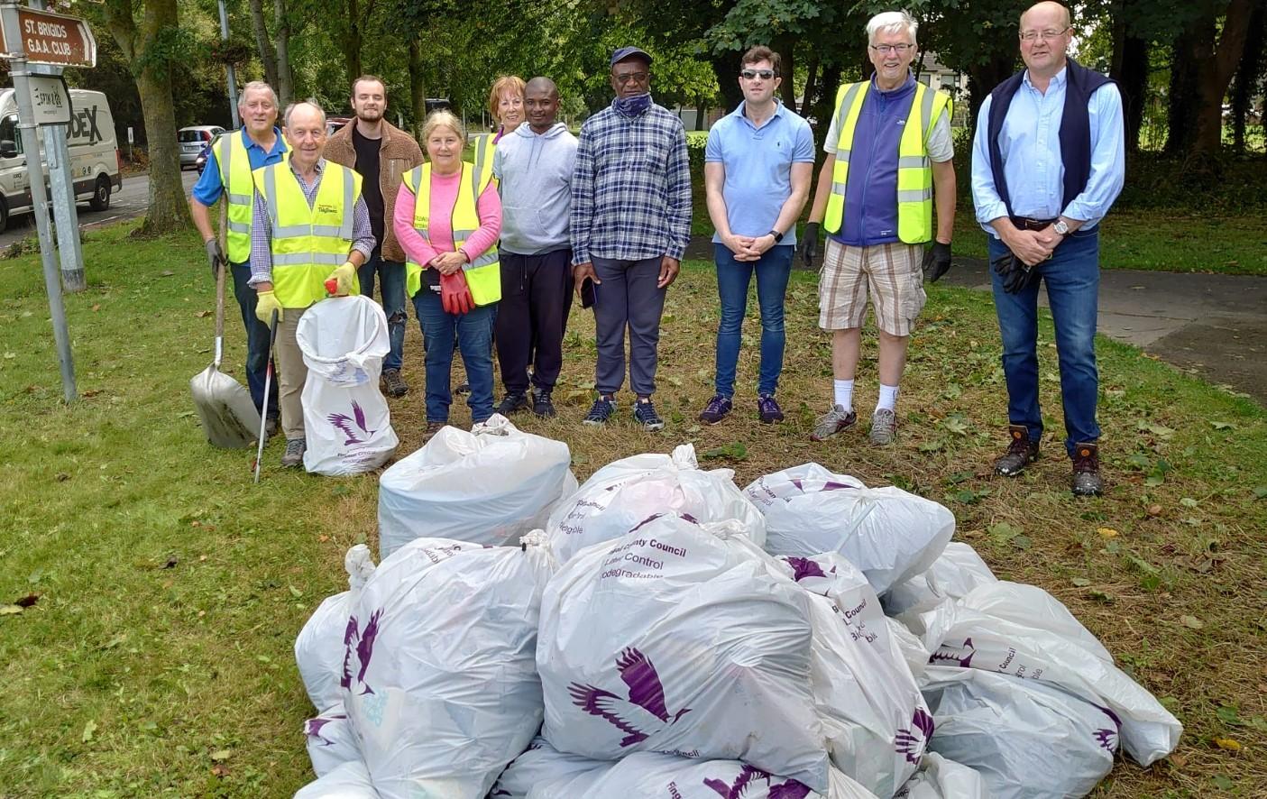 dublin community clean up