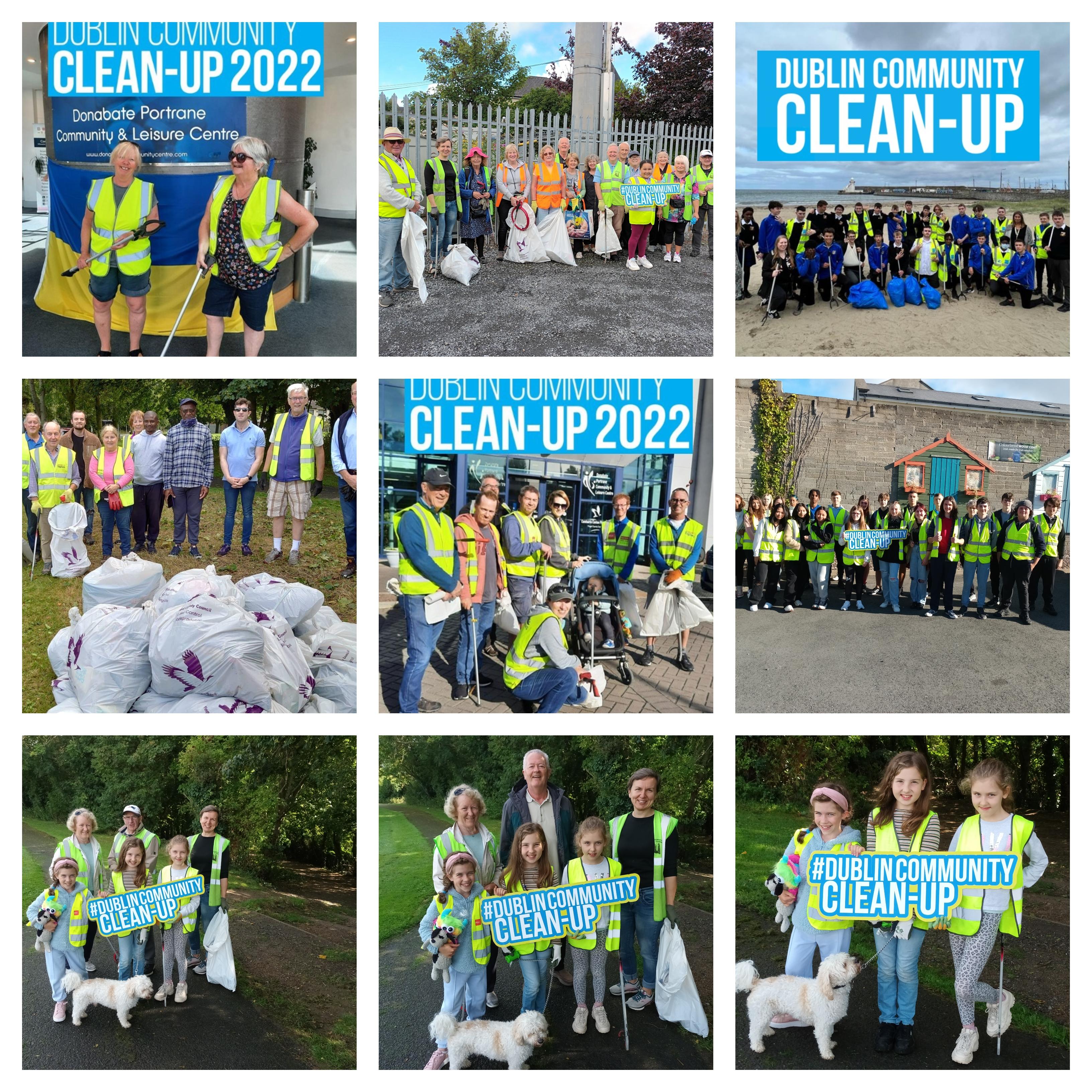 dublin community clean up
