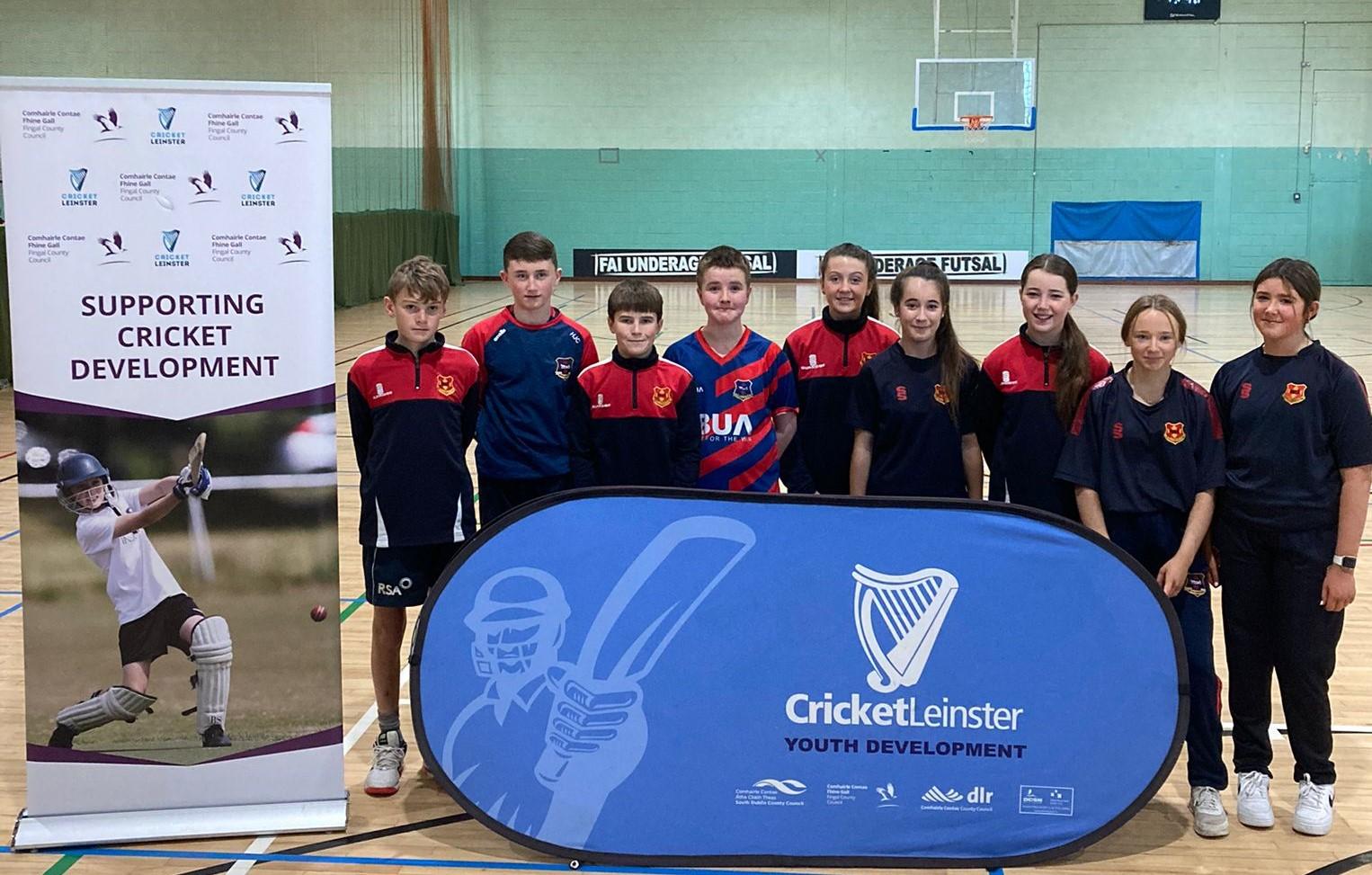 cricket leinster youth development