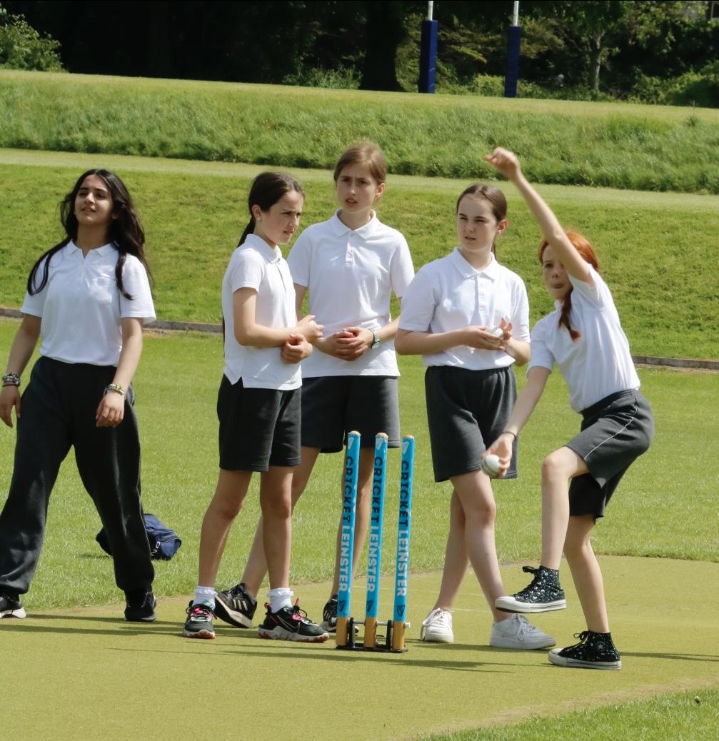 fingal cricket players