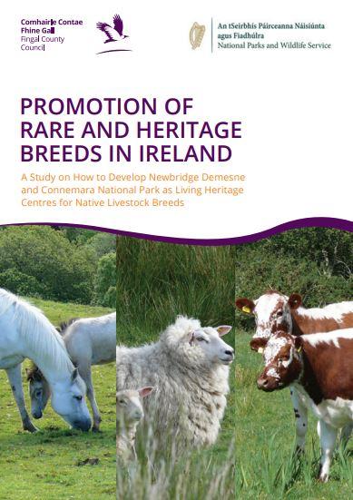 A new report says we have an opportunity to help ensure that Irish rare breeds can become a protected and much valued resource