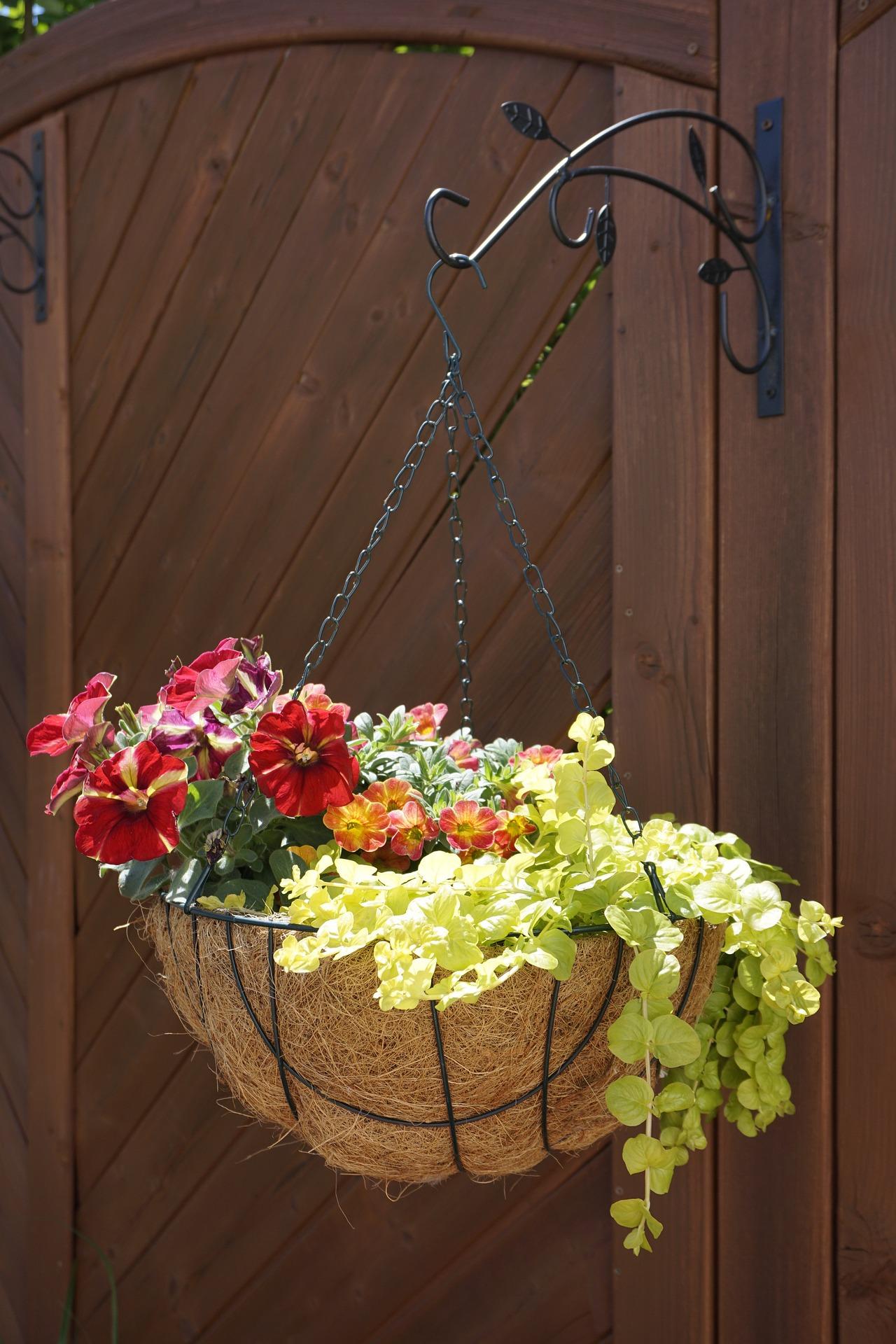 Hanging Basket 