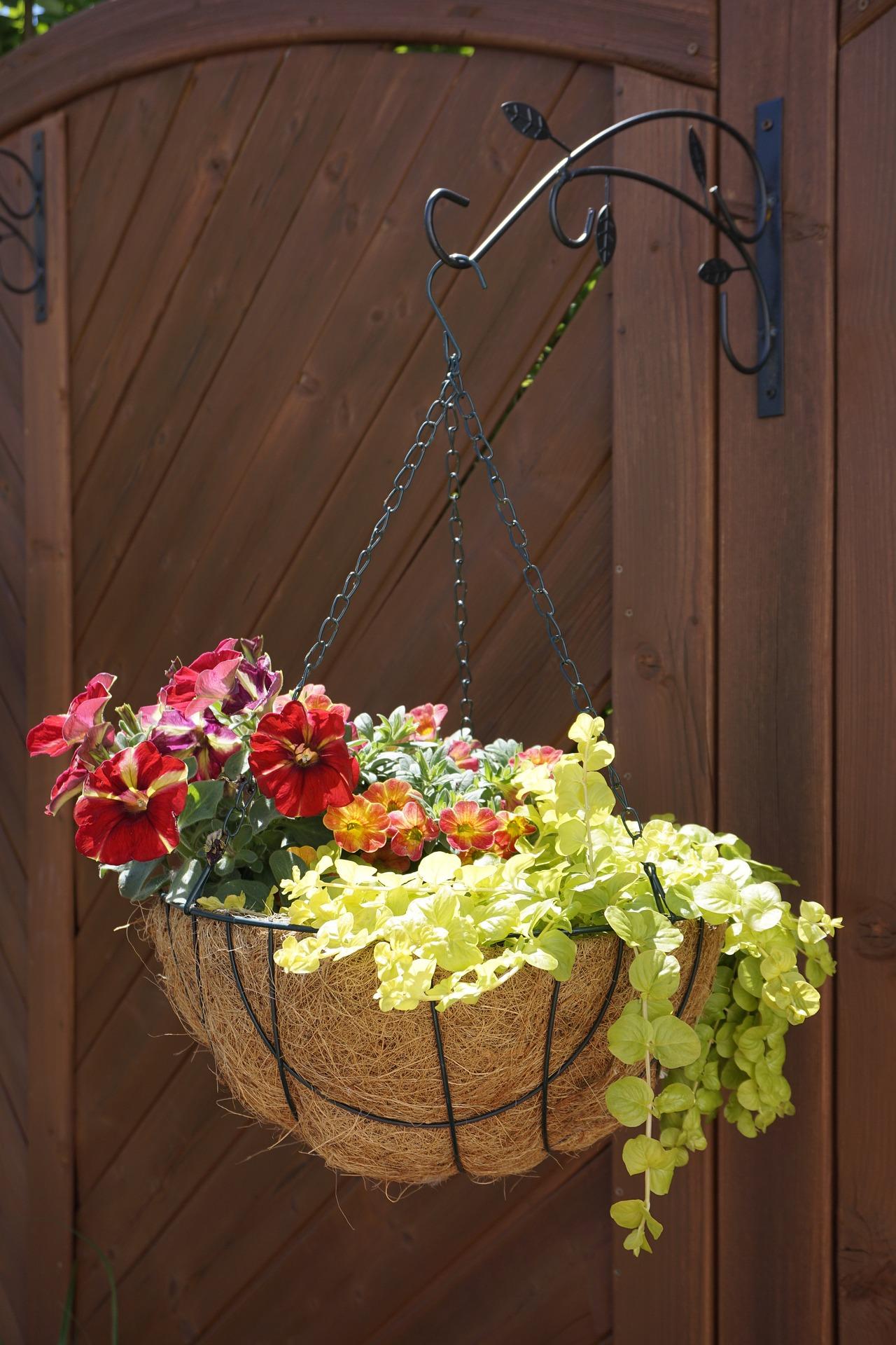 Hanging Basket