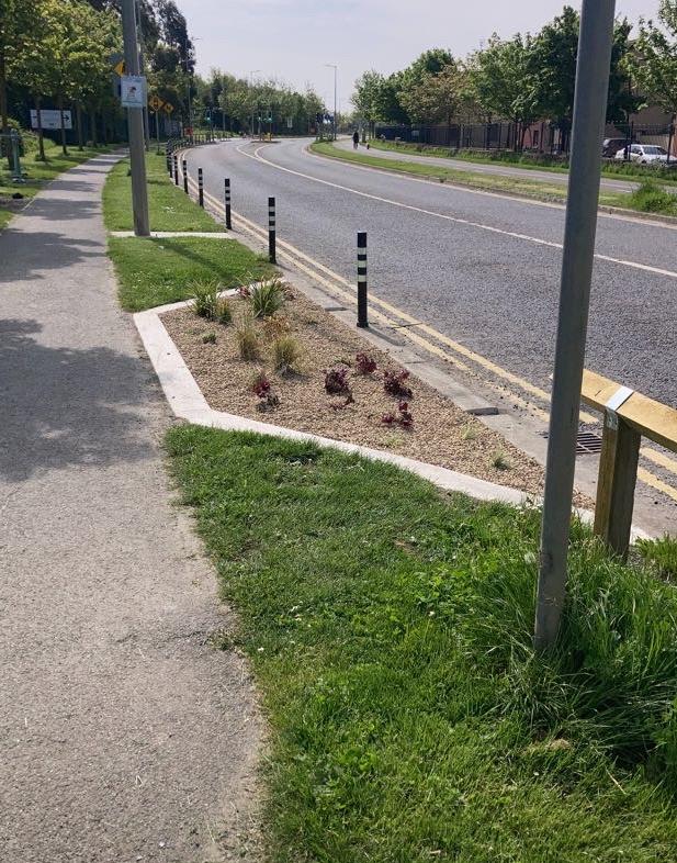 Planting at Rush Lusk school