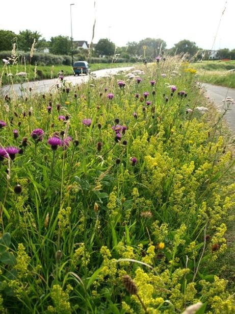 some areas along roads, parks and housing estates have not been cut yet