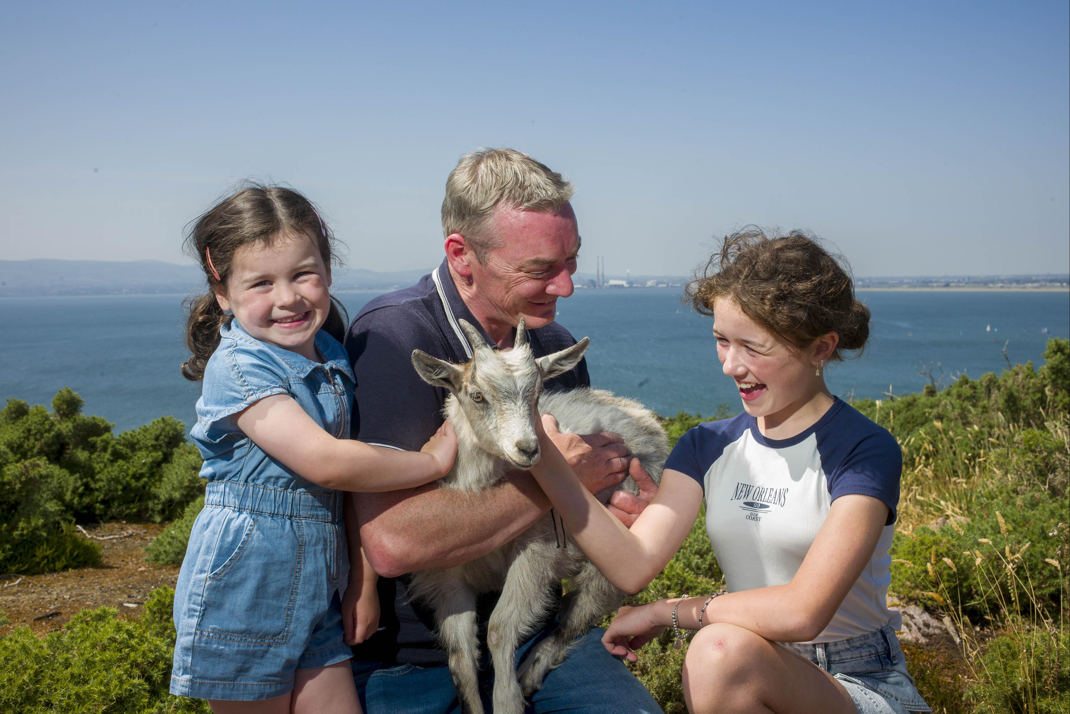 Howth Goats