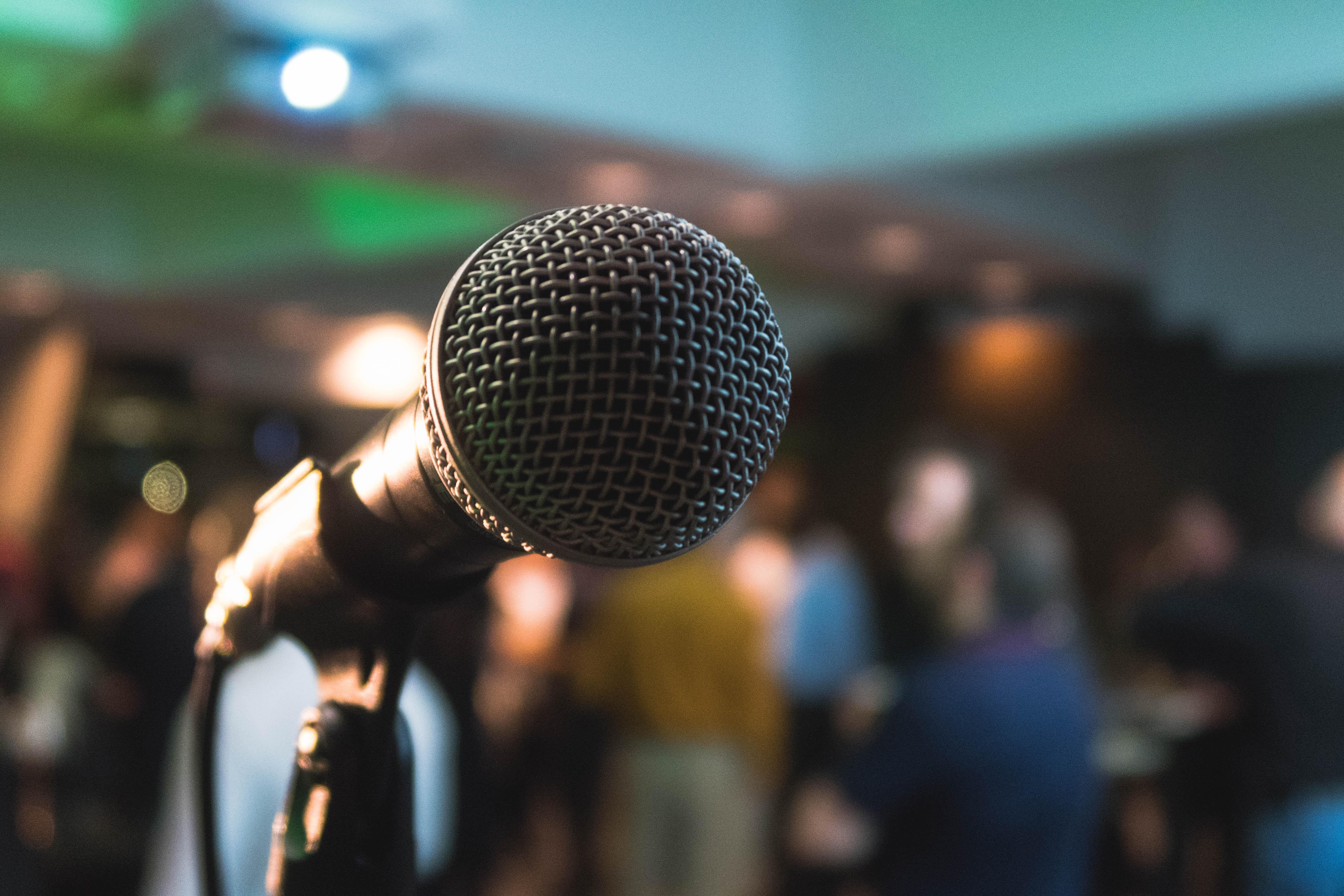 A Public Speaking Workshop with Sheila Ryder