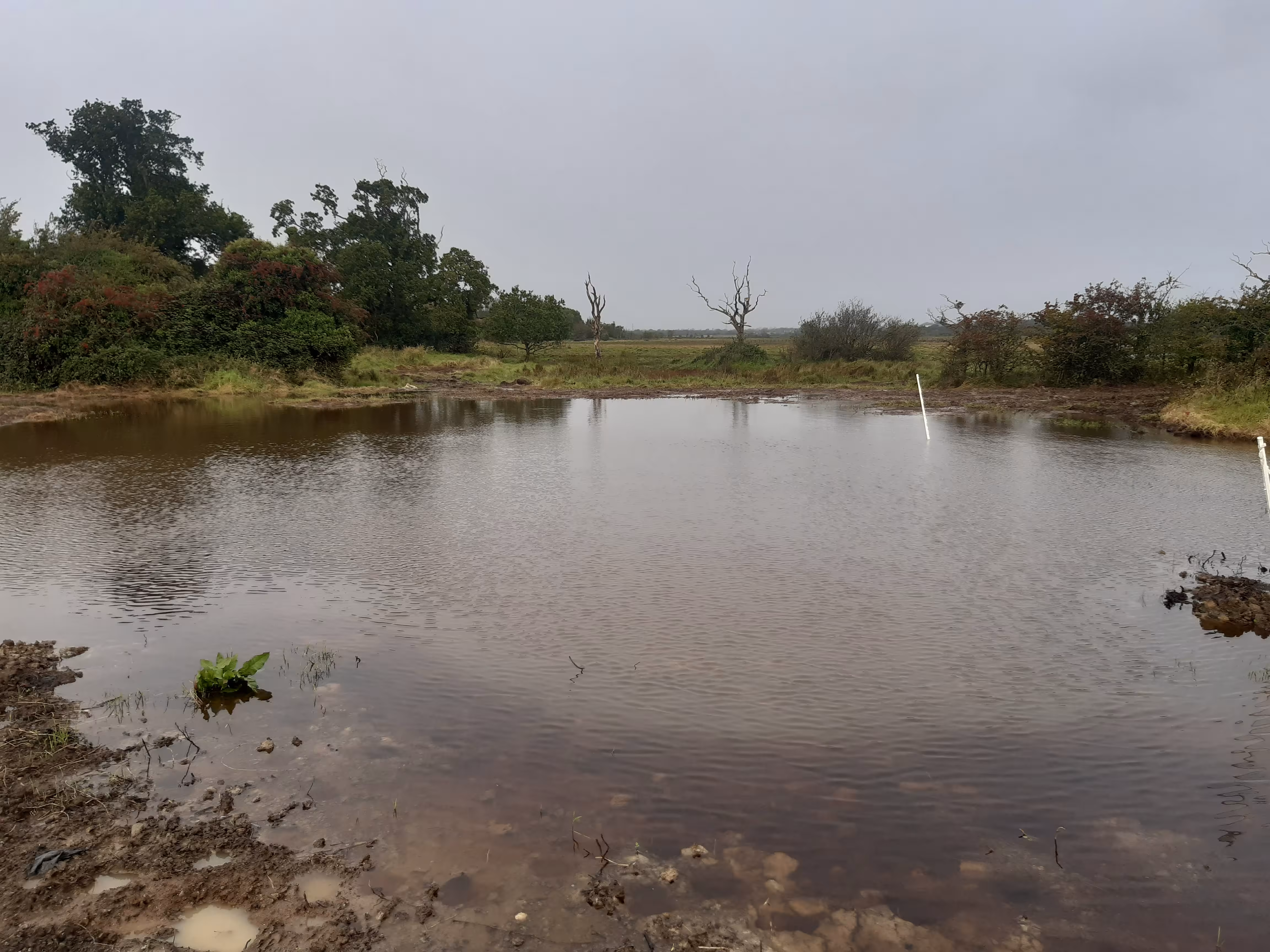 Turvey Works September 2023