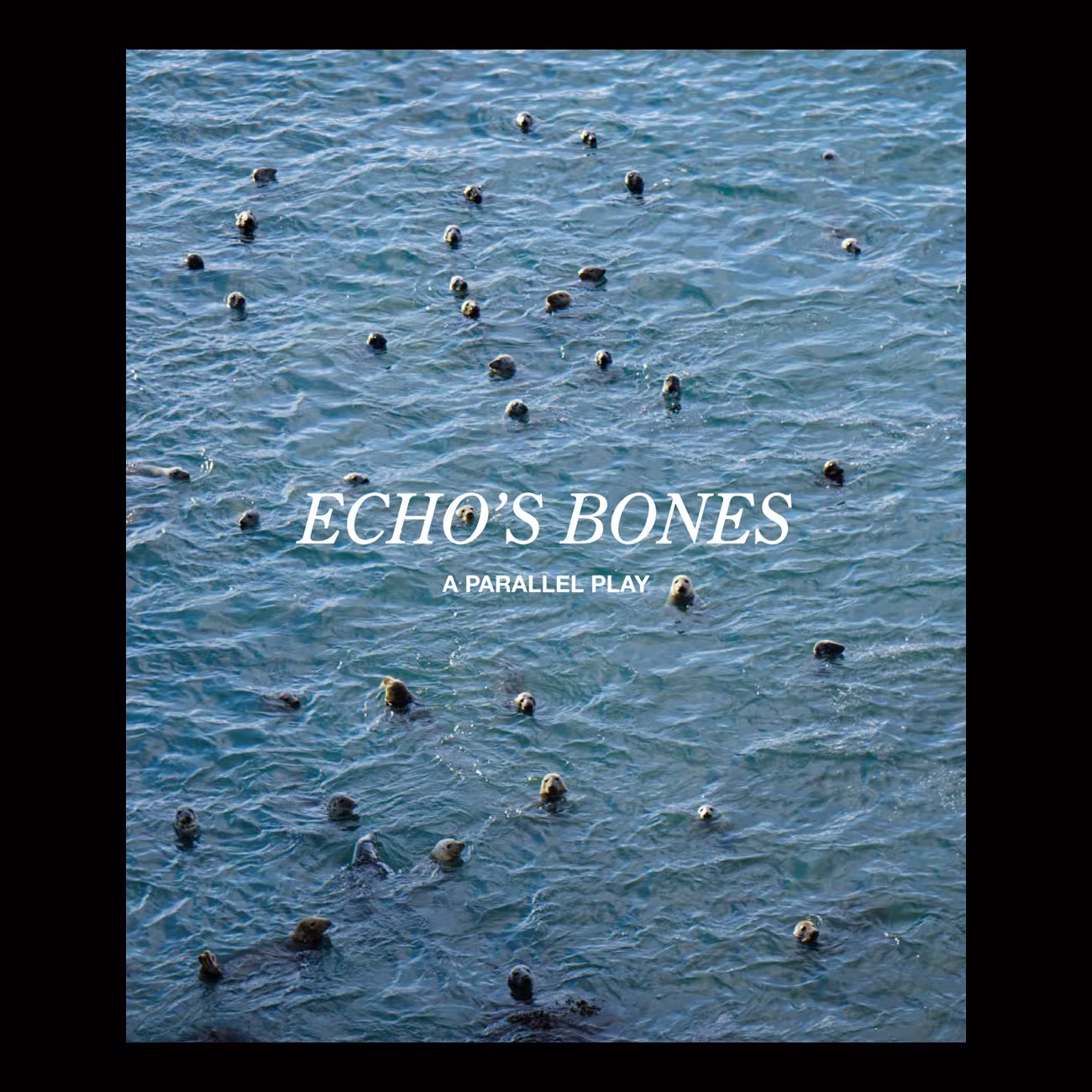 A new book is being launched that celebrates the culmination of the Echo’s Bones project