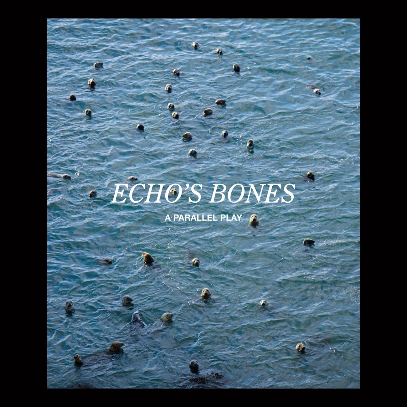 A new book is being launched that celebrates the culmination of the Echo’s Bones project