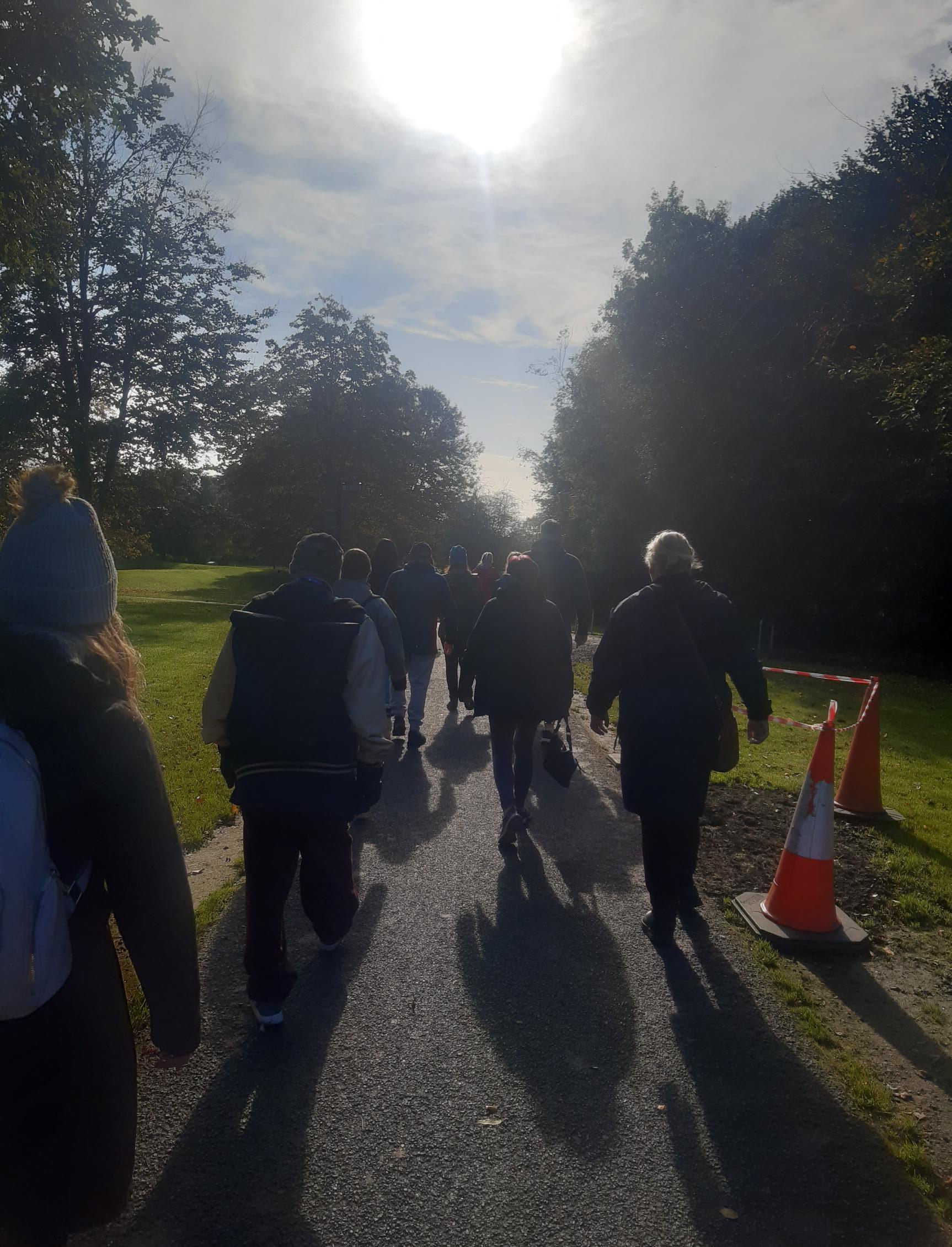 Woodlands for health autumn Newbridge1.jpg